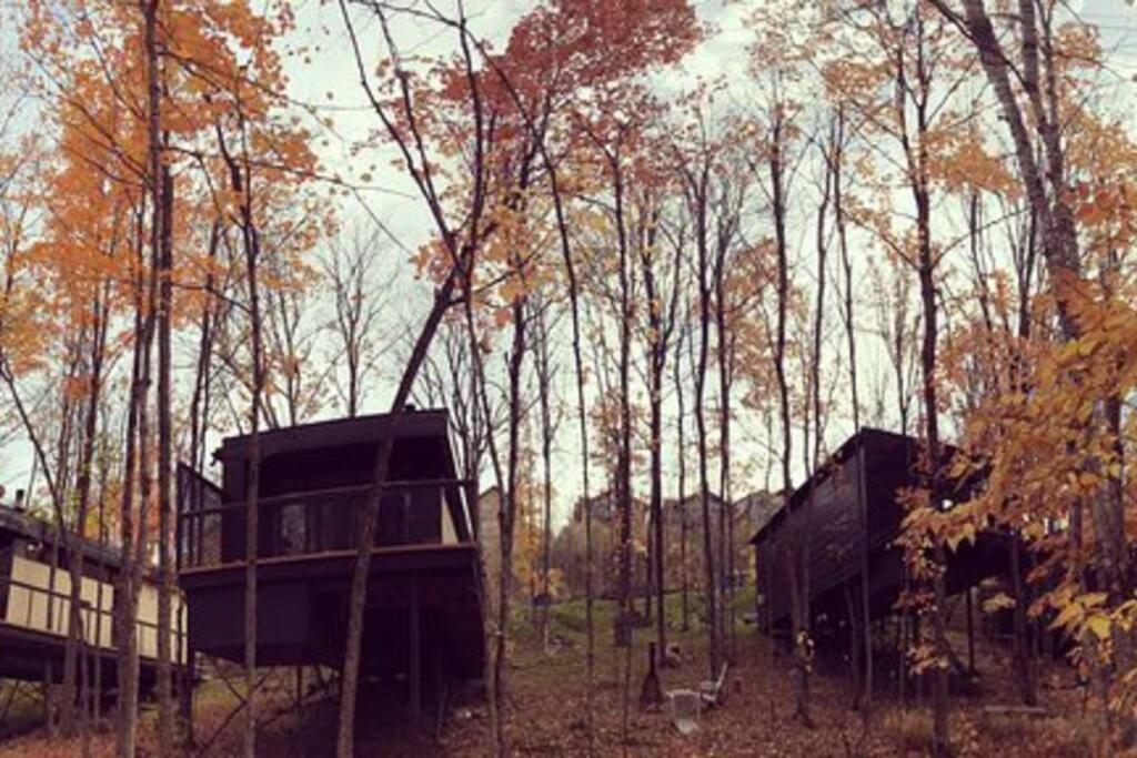 Villa Cabin Sutton 252 - En Harmonie Avec La Nature! Exterior foto